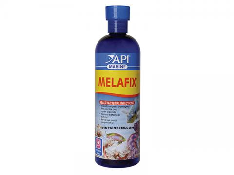 API Melafix Marine đặc trị nhiễm khuẩn, lở loét cho cá biển