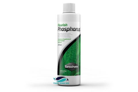 Phân nước thủy sinh Flourish Phosphorus của hãng Seachem