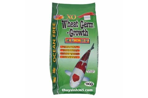 Thức ăn cho cá koi XO Wheat Germ-Growth